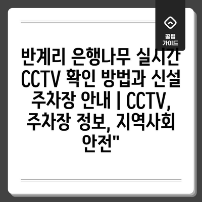 반계리 은행나무 실시간 CCTV 확인 방법과 신설 주차장 안내 | CCTV, 주차장 정보, 지역사회 안전”