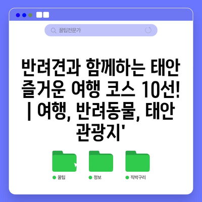 반려견과 함께하는 태안 즐거운 여행 코스 10선! | 여행, 반려동물, 태안 관광지’