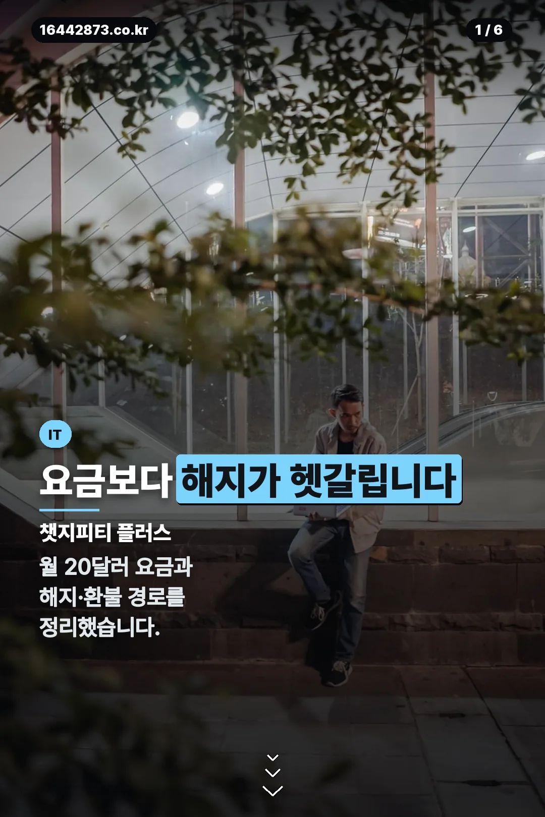챗지피티 플러스 표지