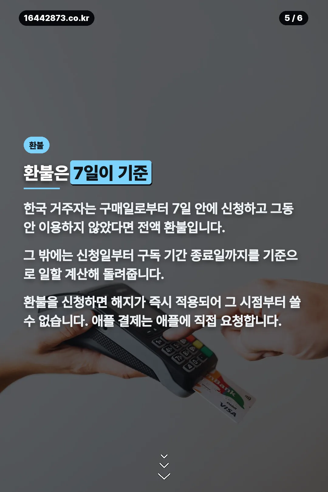환불 규정