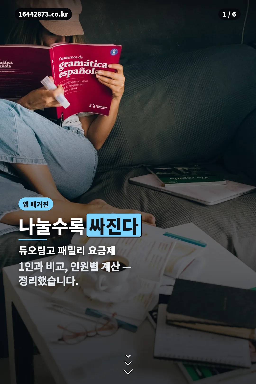 듀오링고 패밀리 요금제 표지