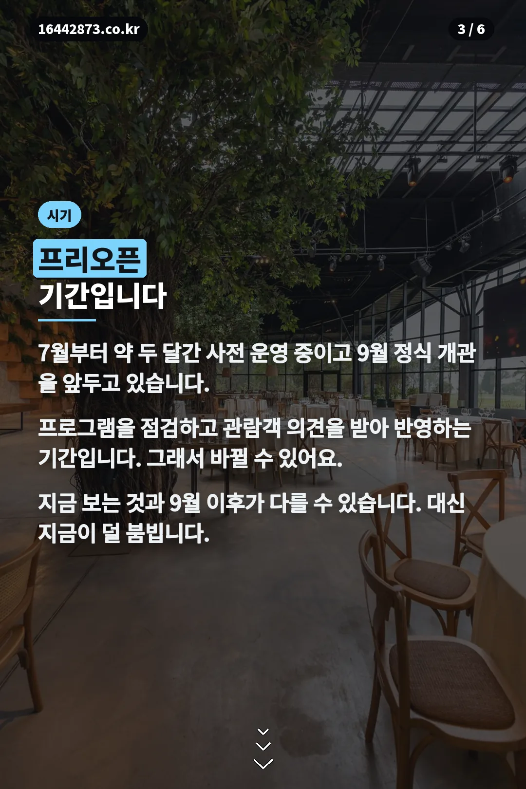 프리오픈 기간