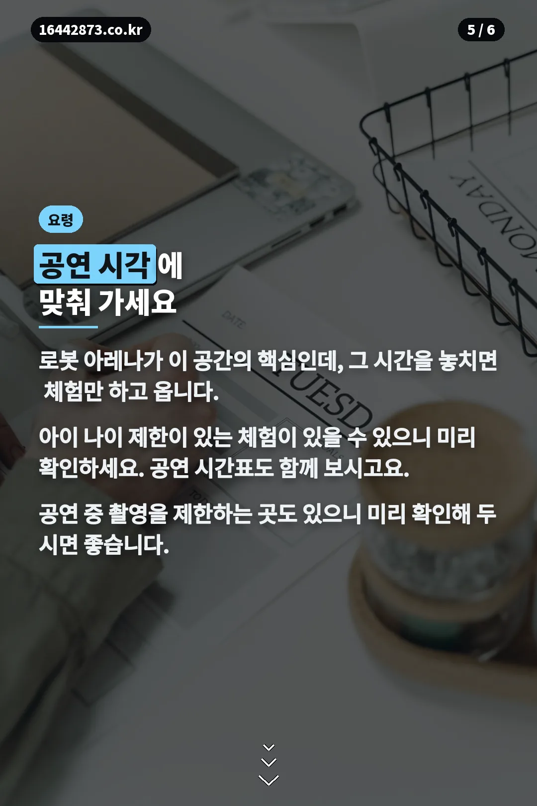 관람 요령