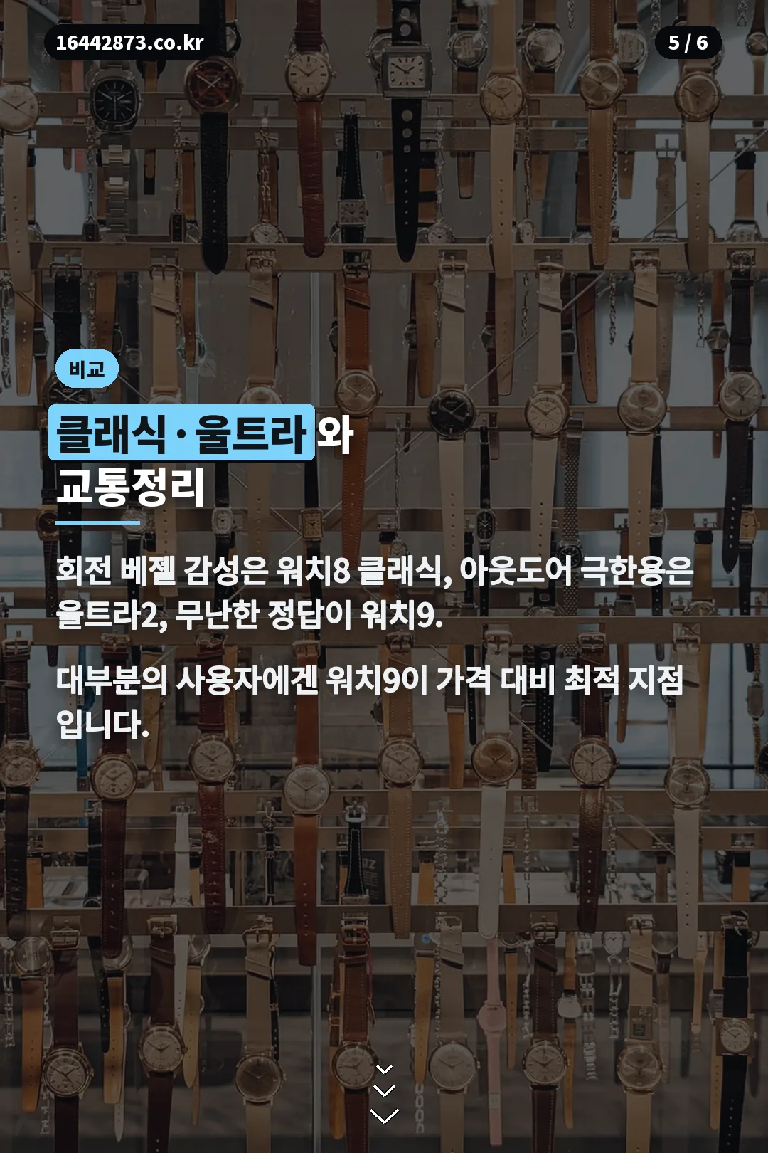 라인업 비교