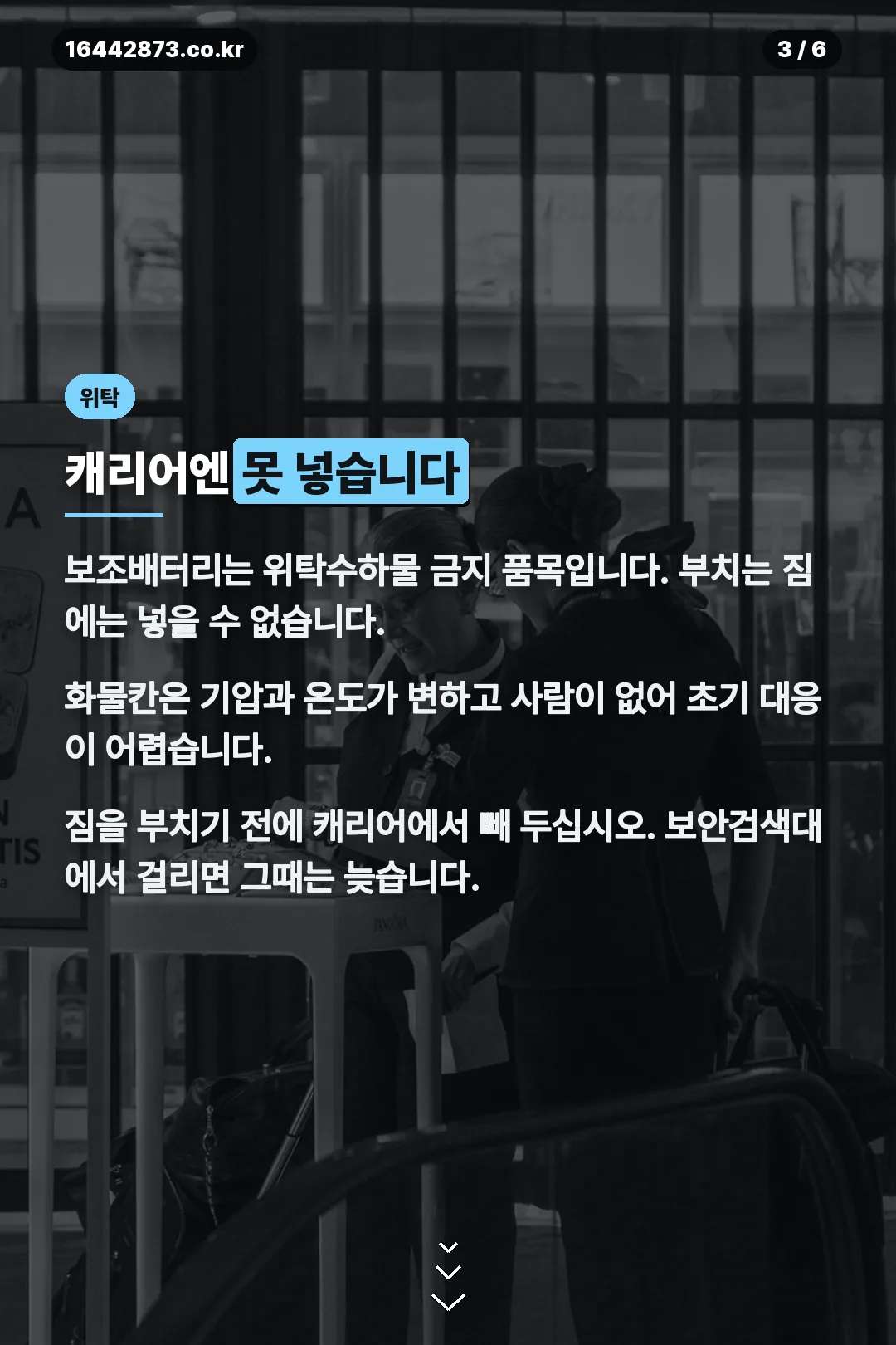 위탁수하물 금지
