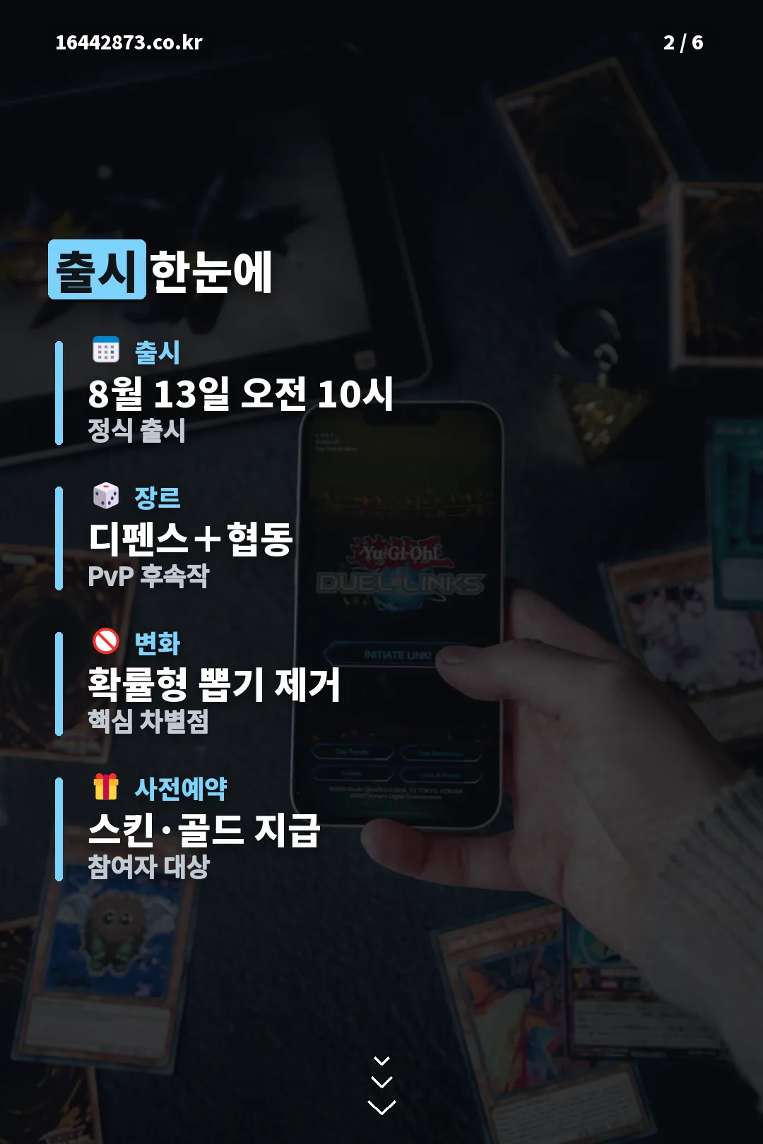 출시 정보 요약