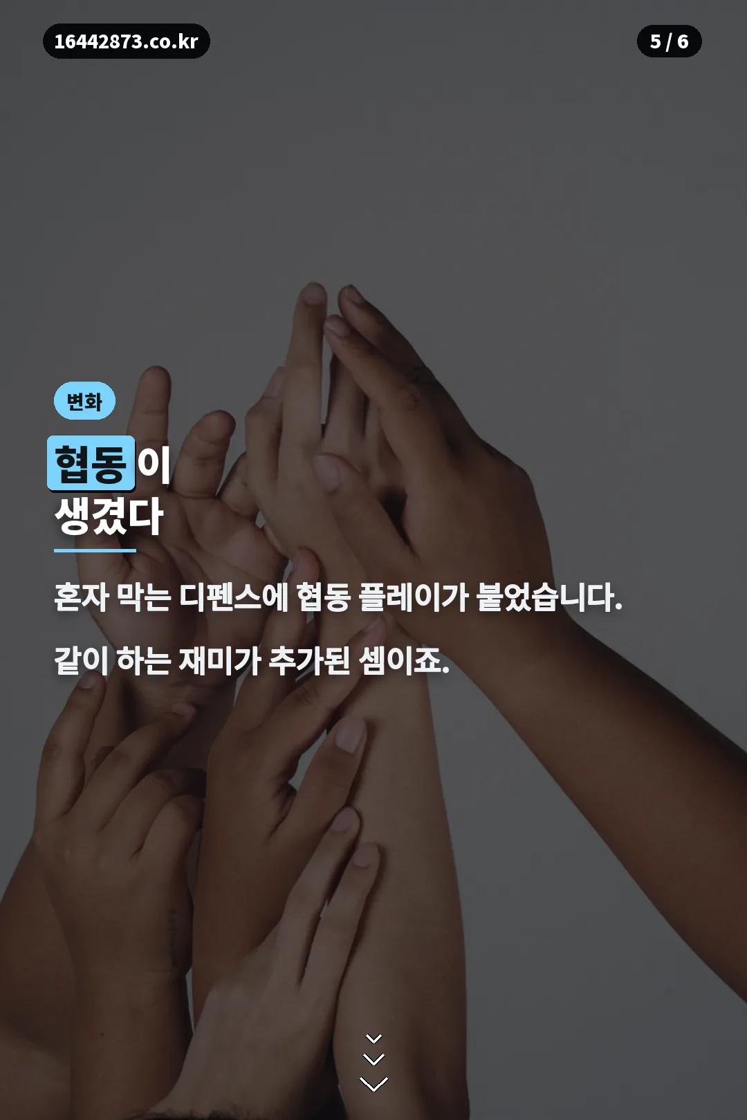 협동 플레이