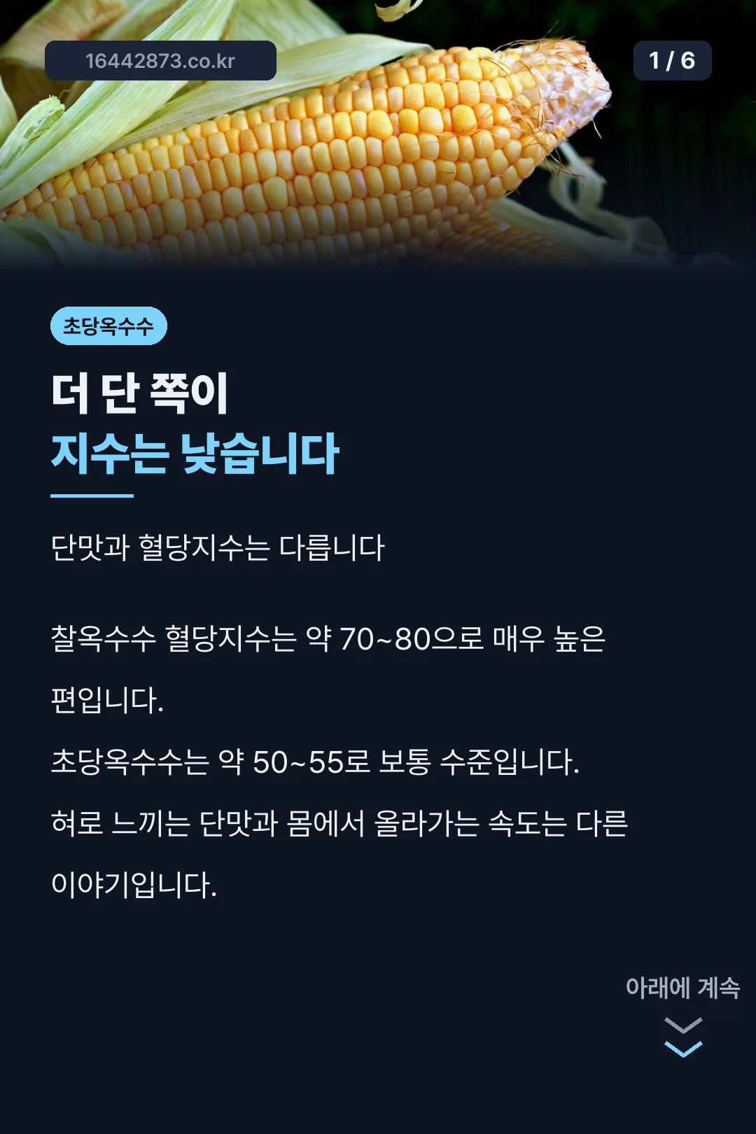 초당옥수수와 찰옥수수 혈당지수 비교