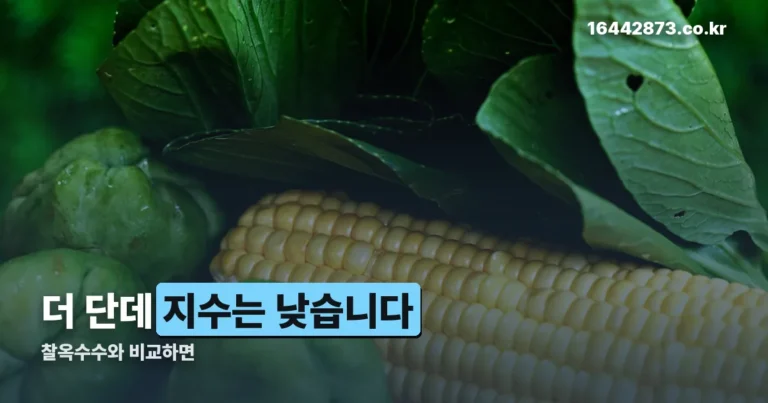 초당옥수수 당뇨 — 더 단데 혈당지수는 찰옥수수보다 낮은 이유