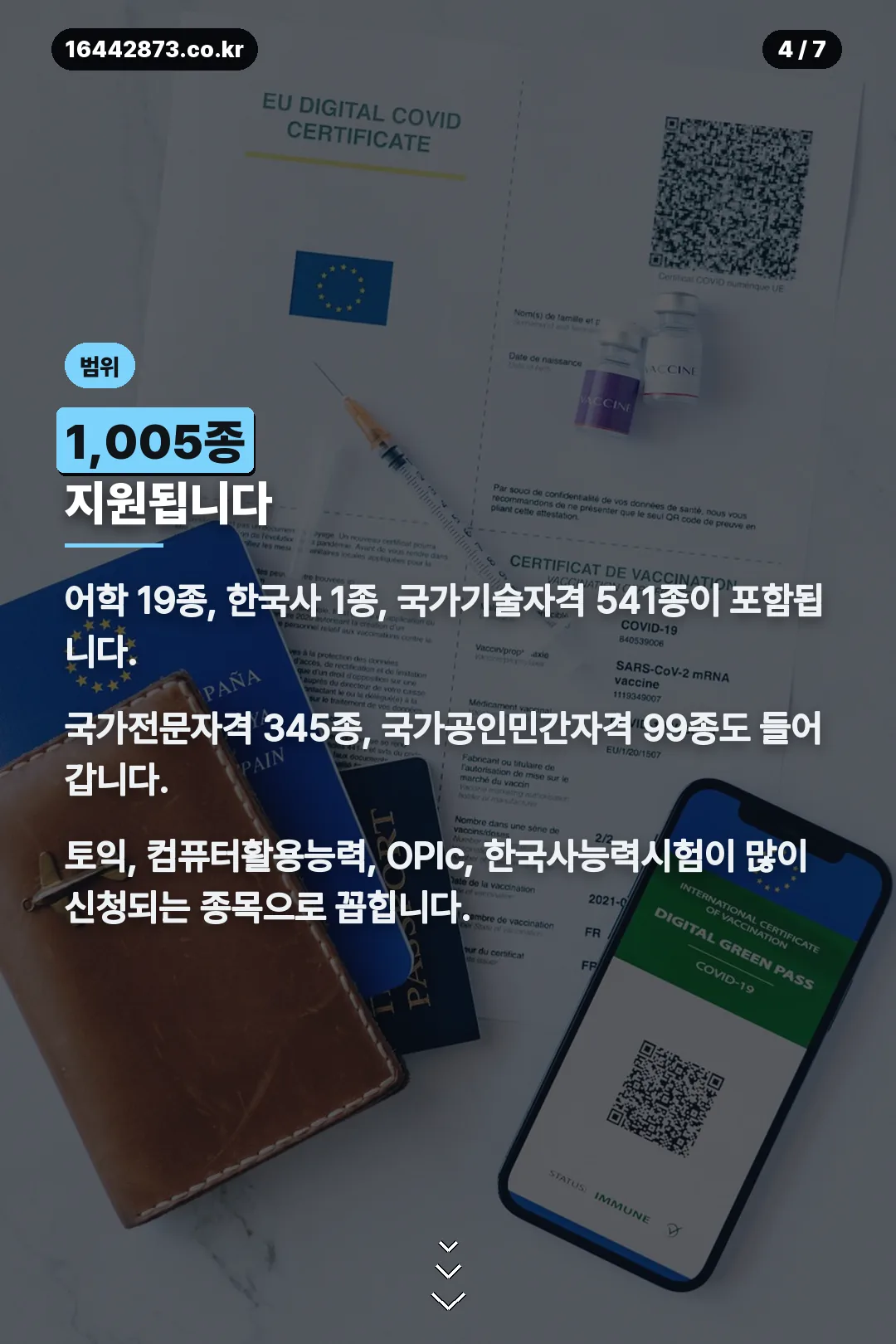 지원 자격증 범위