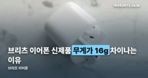 브리츠 이어폰 정리 썸네일