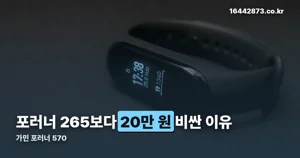 가민 포러너 570 가격 — 국내 정가 799,000원, 265와 다른 점